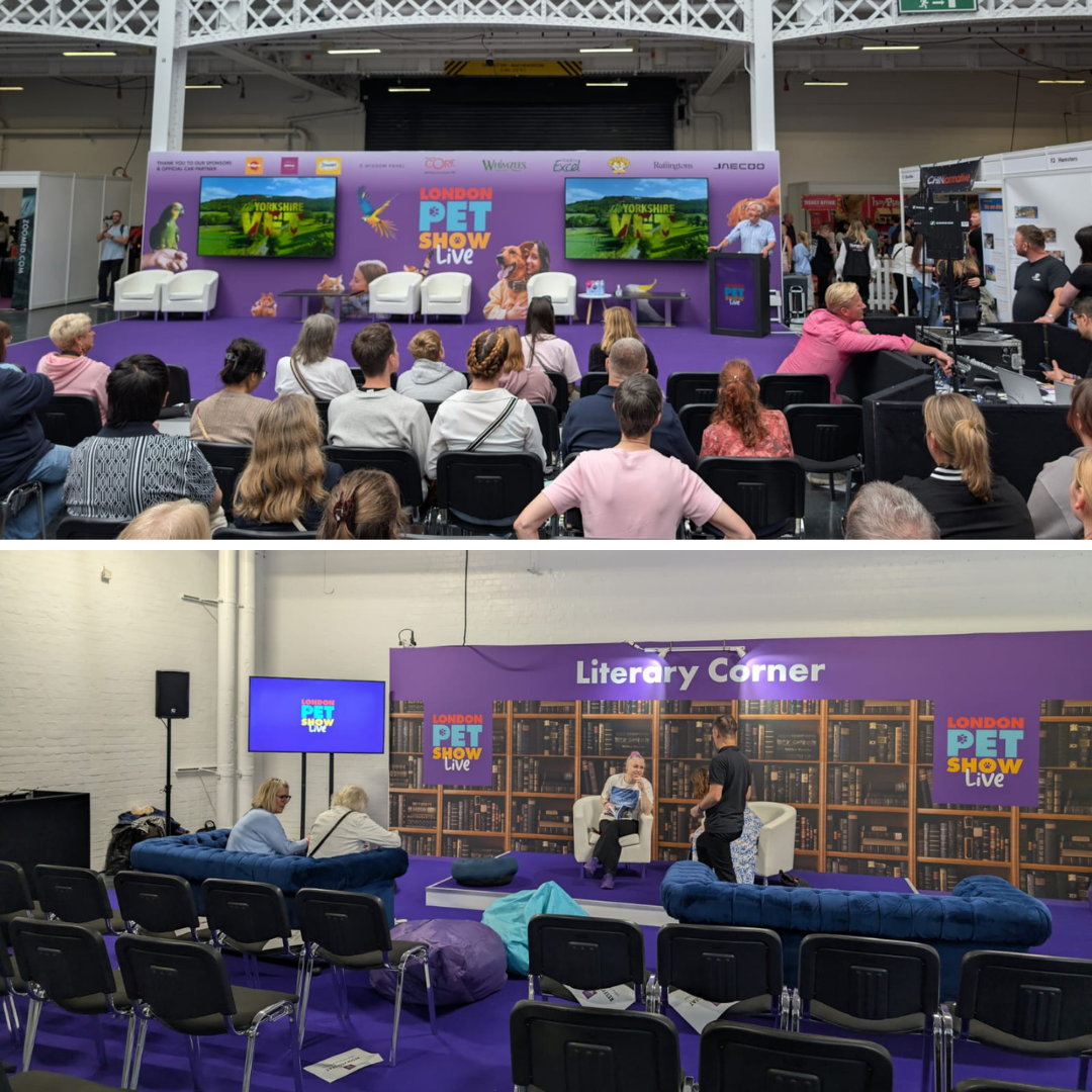 ImmersiveAV Expo News Page (3)